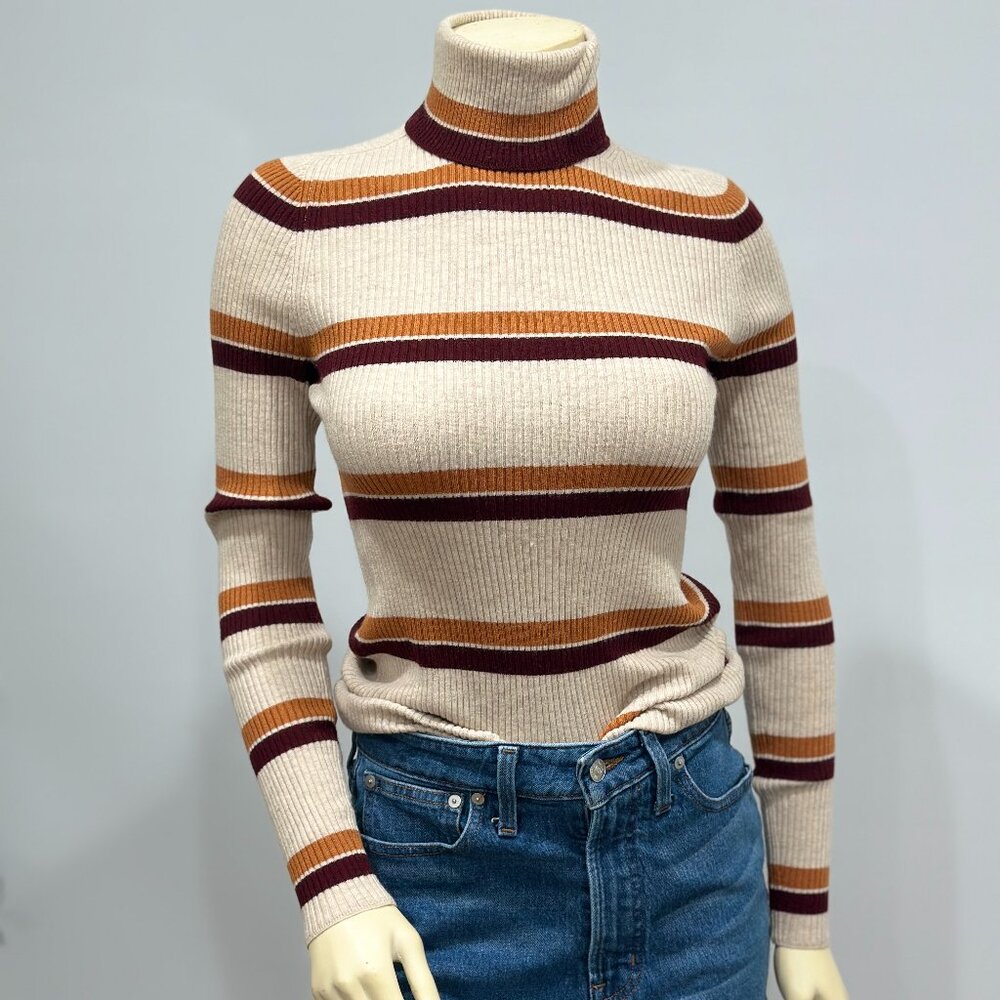 Everlane The Italian Merino Rib Turtleneck in Medium